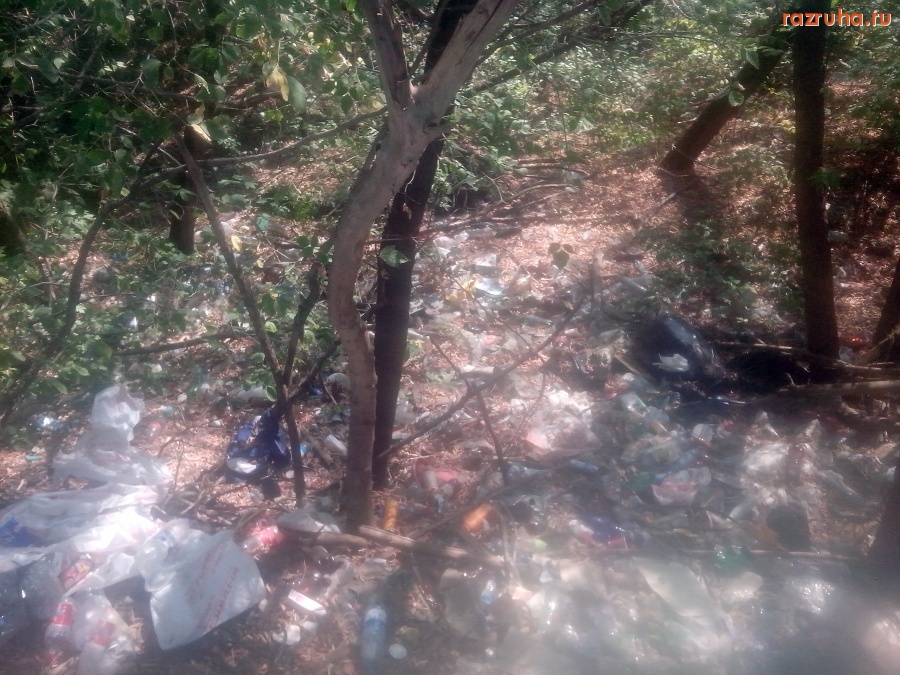 Курск - Мусор за переход