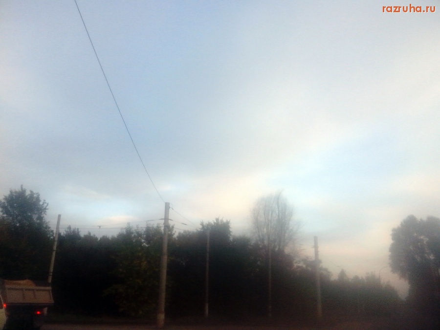 Курск - Засохшее дерево