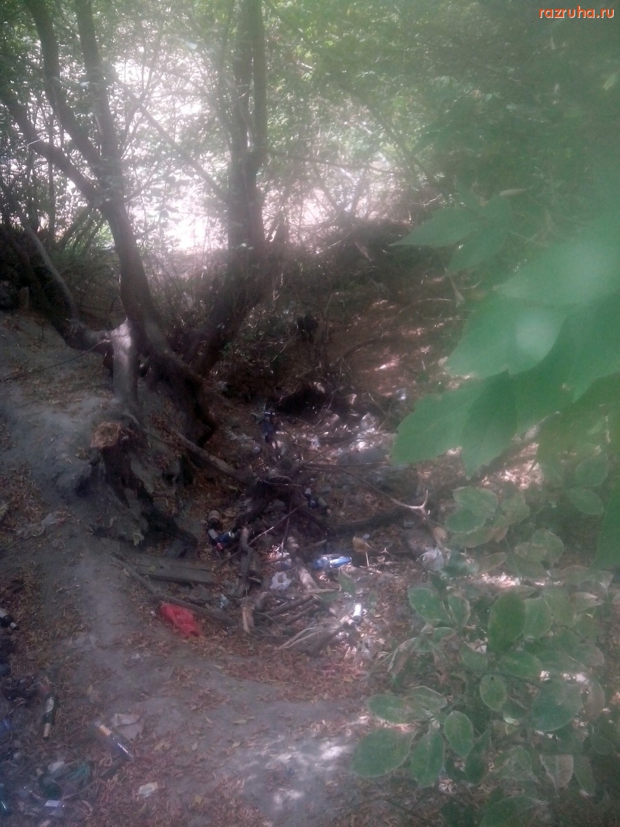 Курск - Вечно гадят