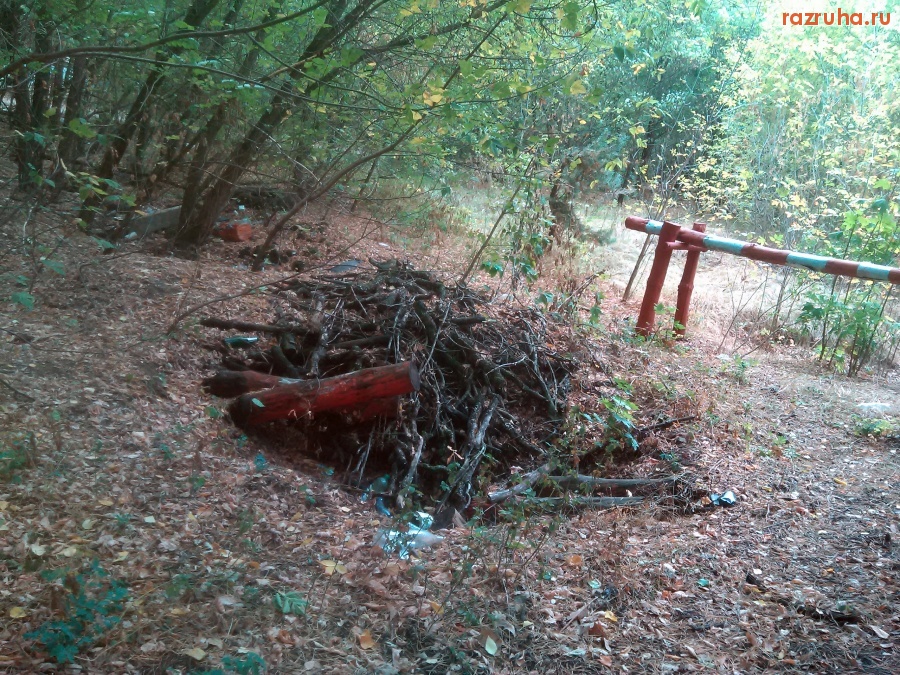 Курск - Куча хвороста