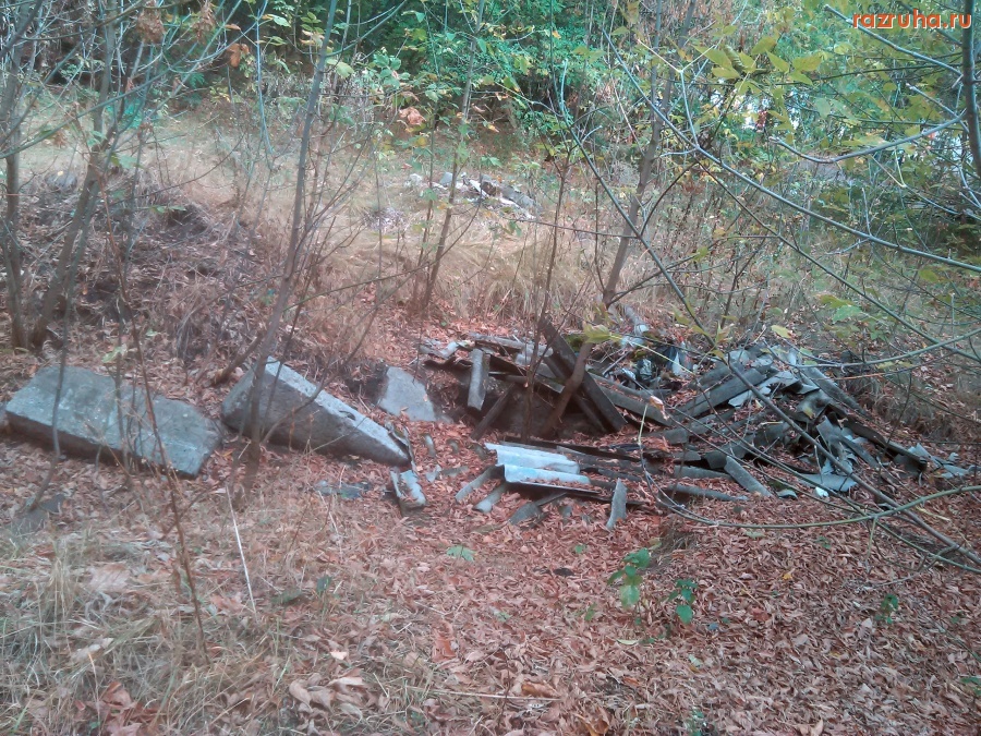 Курск - Хлам в лесу
