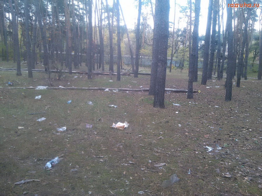 Курск - Скотство в парке