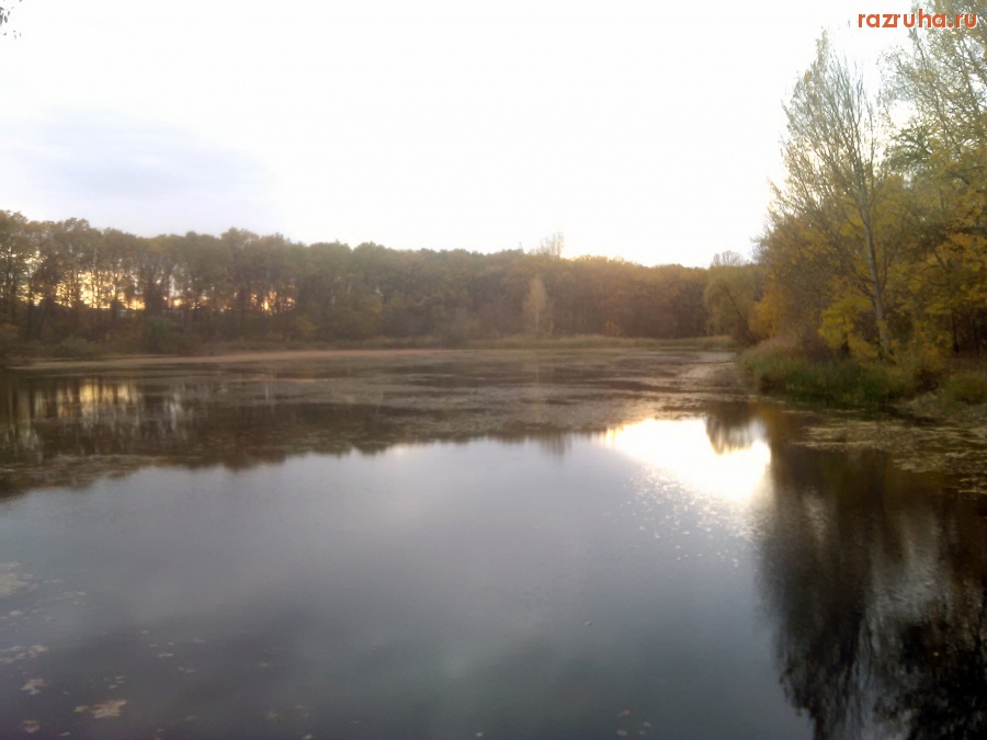 Курск - Пруд