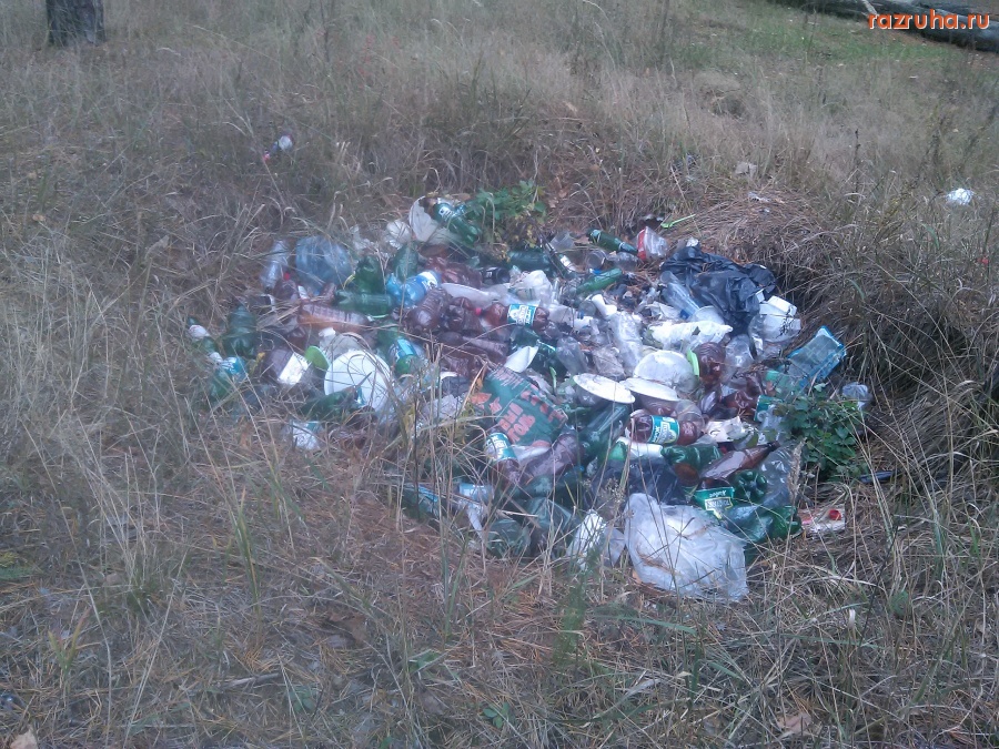 Курск - Кучка мусора