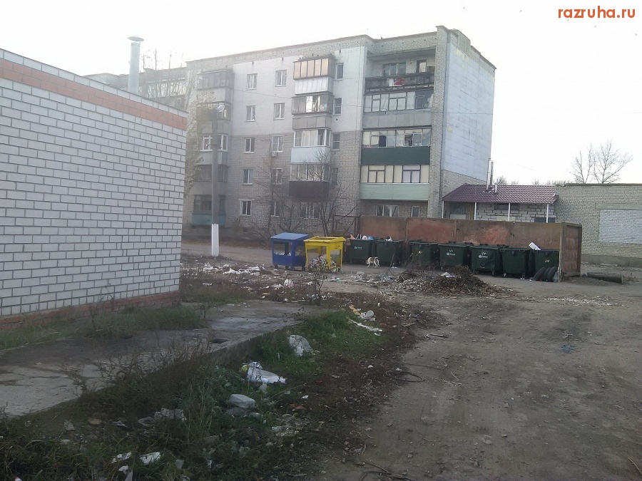 Курск - У помойки