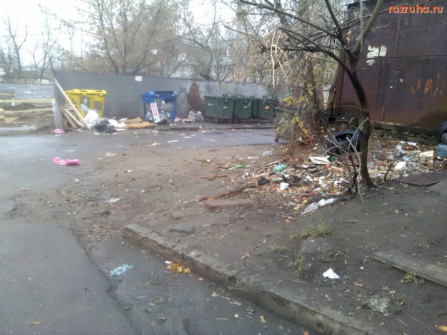 Курск - У помойки