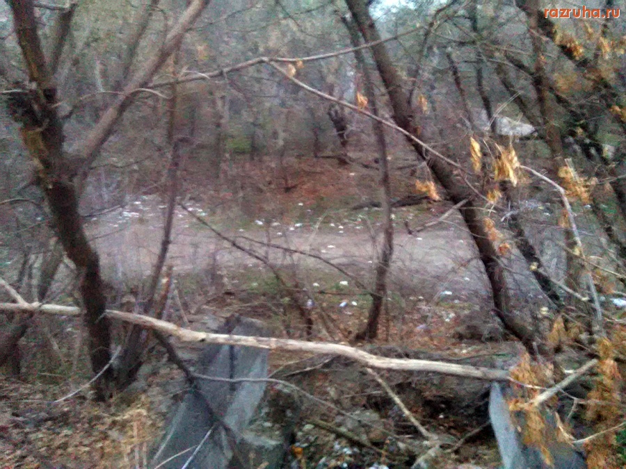 Курск - Вход