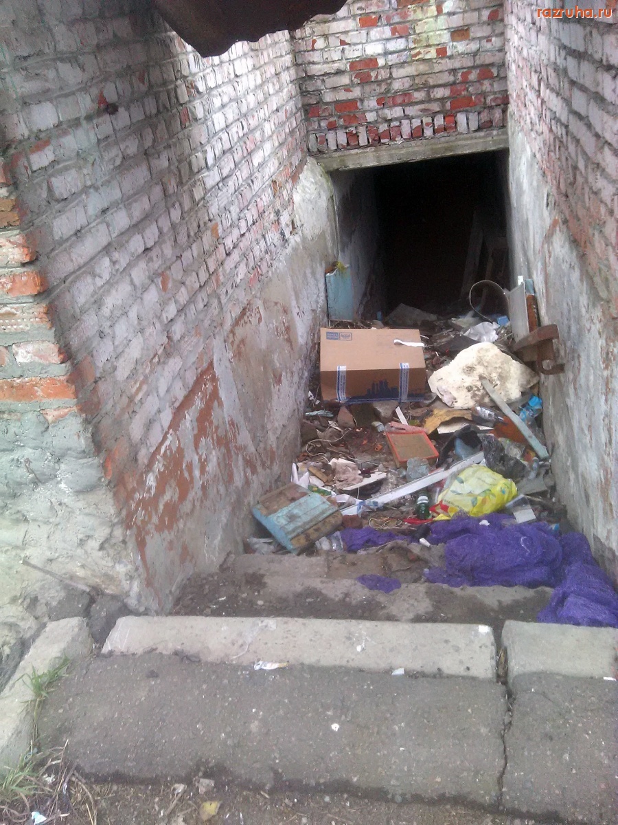 Курск - Тема чистого Северо-Запада