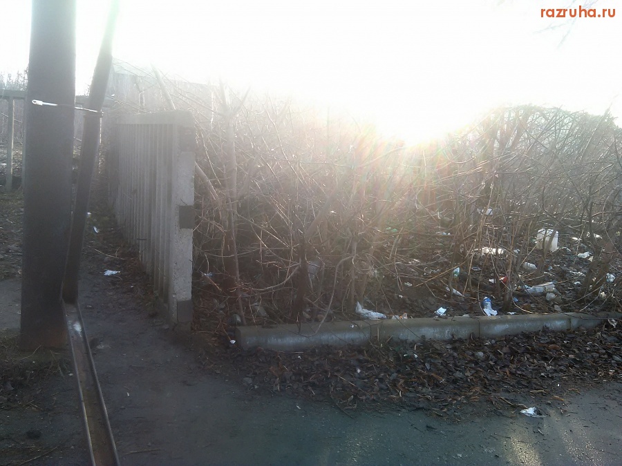 Курск - Мусор в кустиках