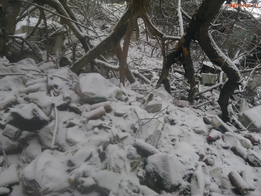 Курск - Сортирная тема