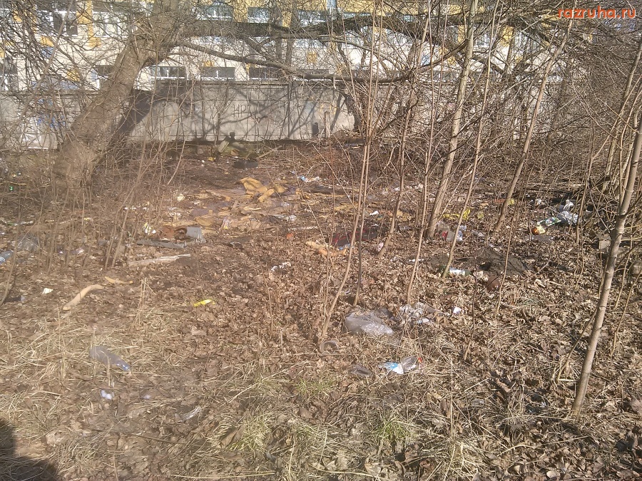 Курск - Мусор у забора