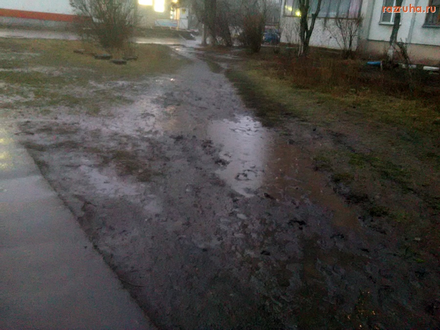 Курск - Дорожка