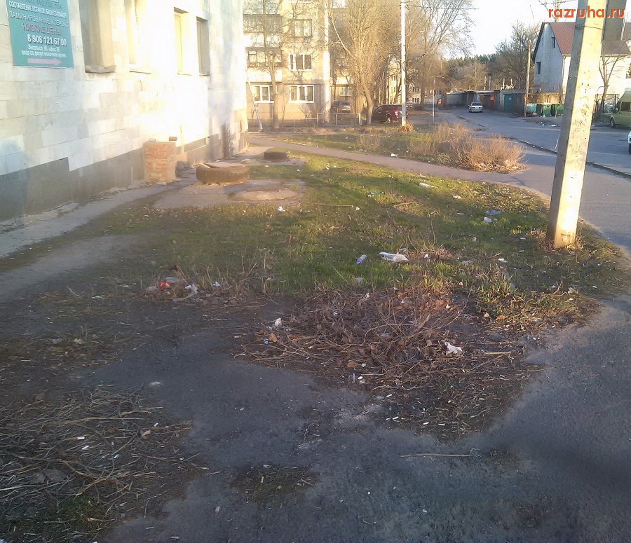 Курск - Газон