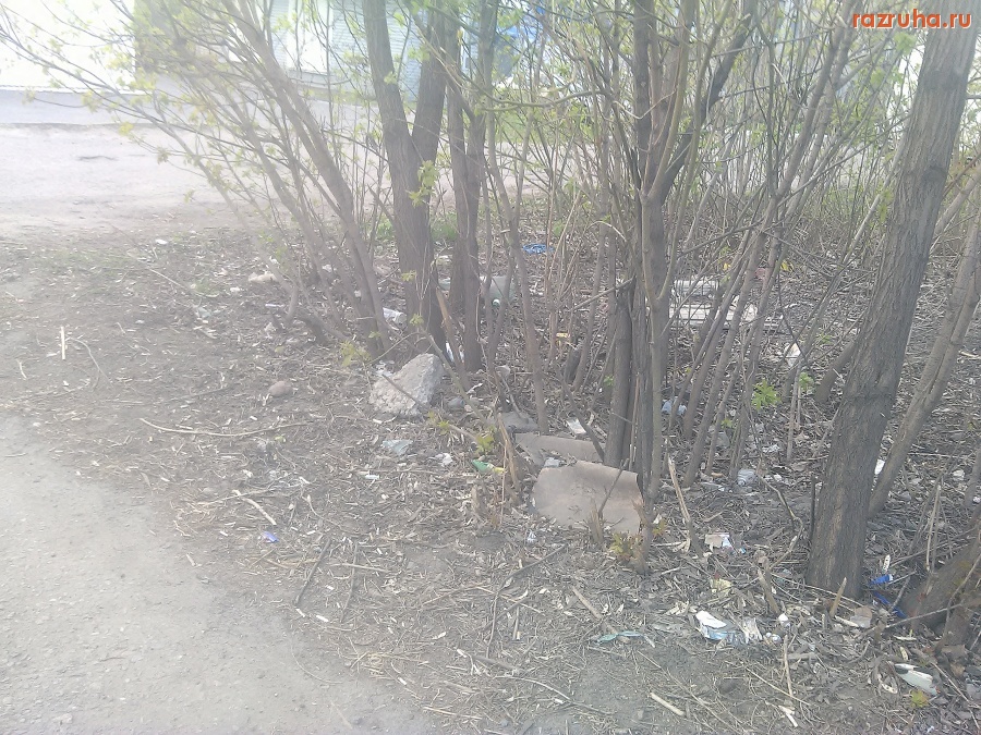 Курск - Родничок