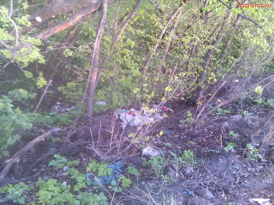 Курск - Придорожный мусор