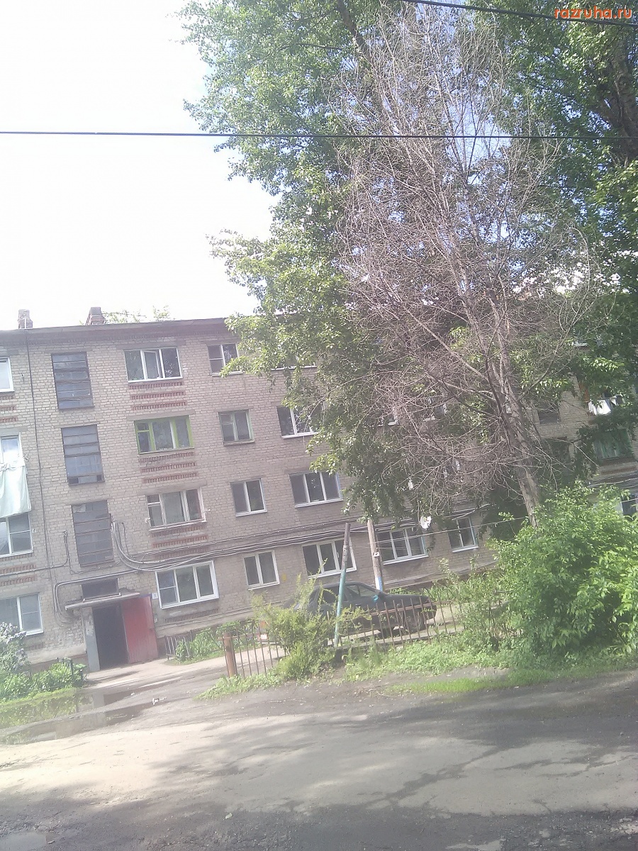 Курск - Дерево высохло