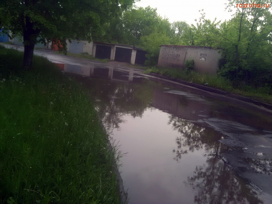 Курск - Лужа на дороге