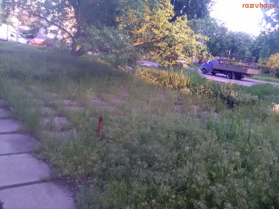 Курск - Заросло