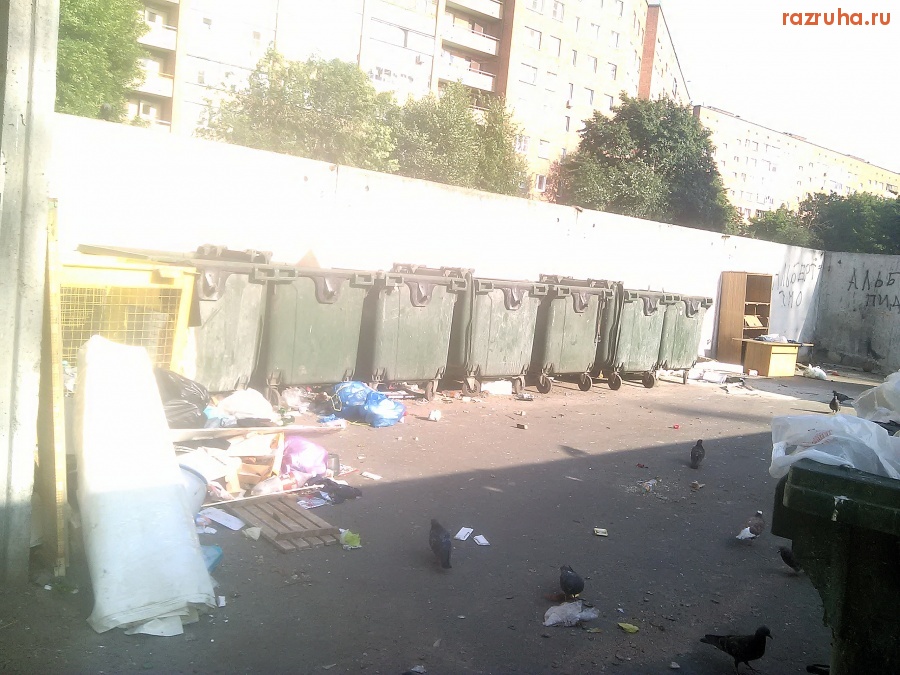 Курск - Чистота