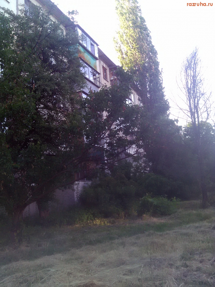 Курск - Дерево высохло