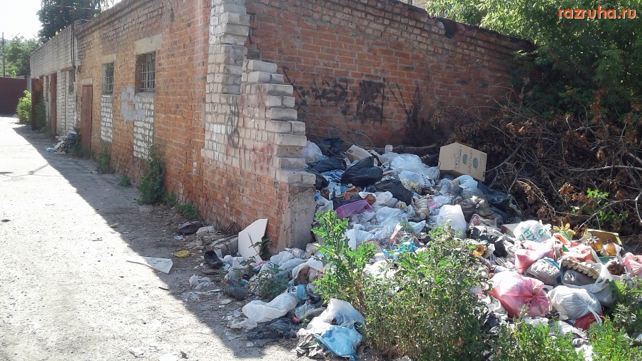 Курск - Куча подросла