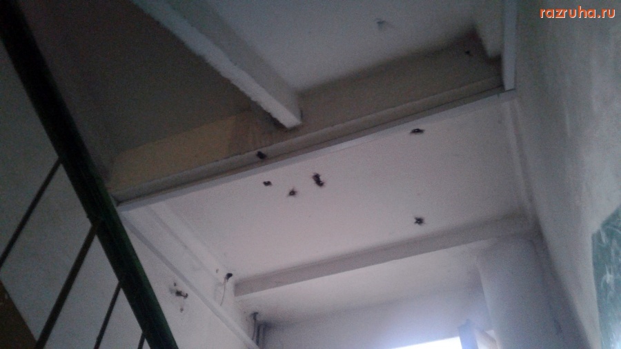 Курск - Обзор подъезда