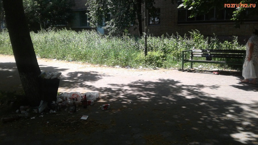 Курск - Чистота