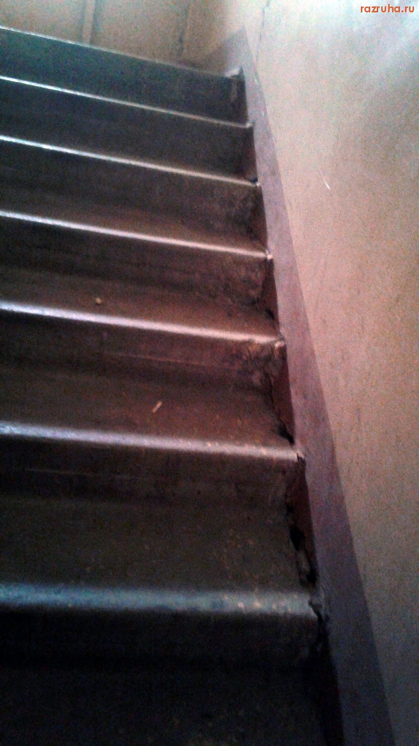 Курск - Гадят в подъезде