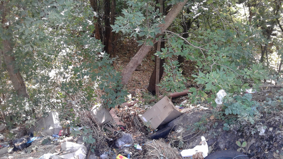 Курск - Загаженный овраг