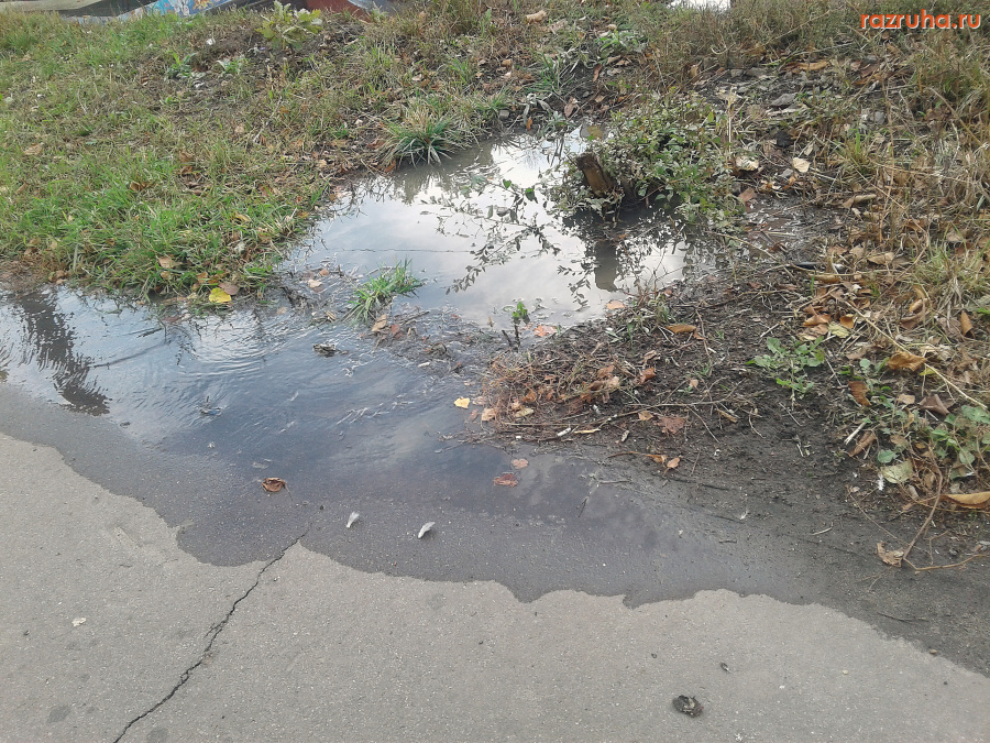 Курск - Канализация вонючая