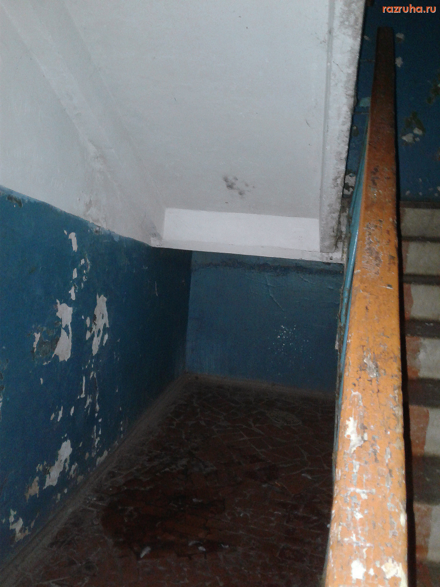 Курск - Стены вонючего подъезда (1)