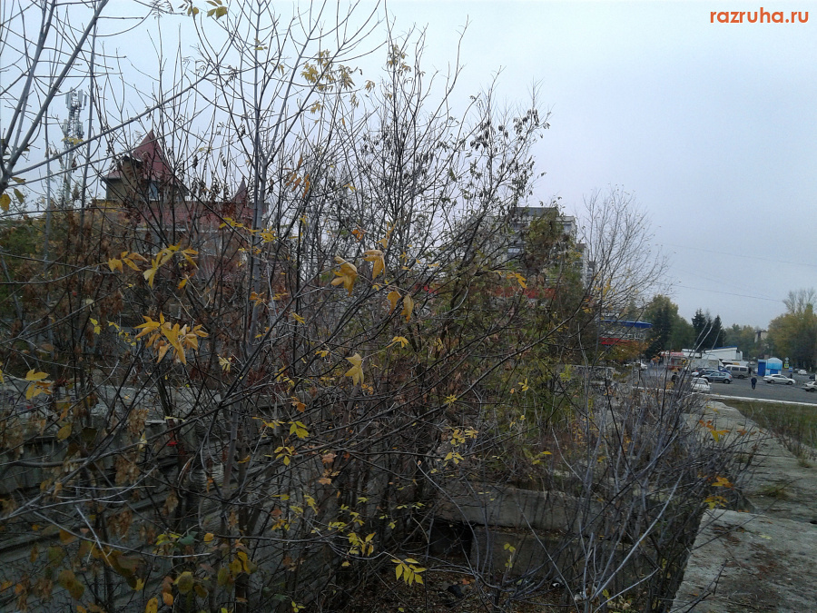 Курск - За плитами