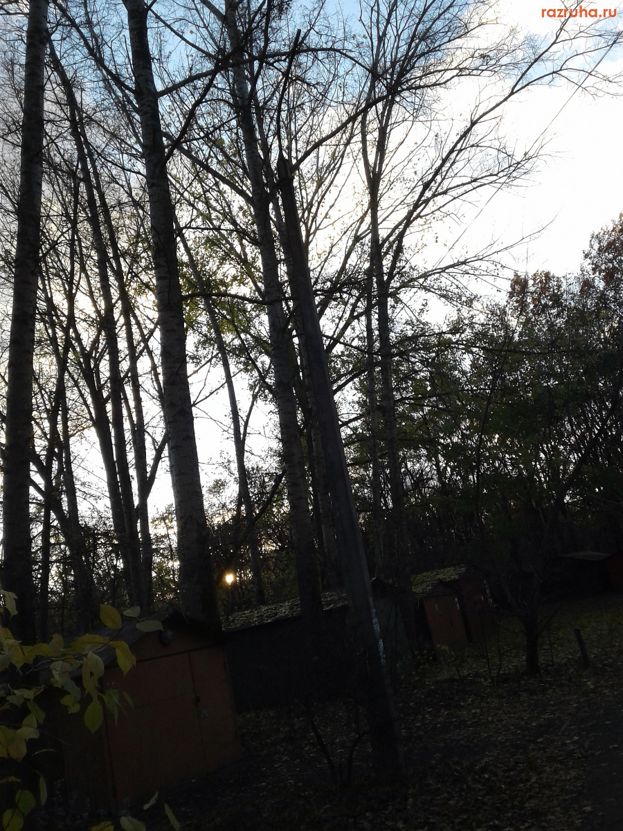 Курск - Столбы без фонарей