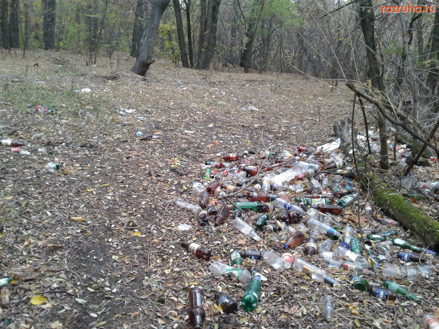 Курск - Куча мусора