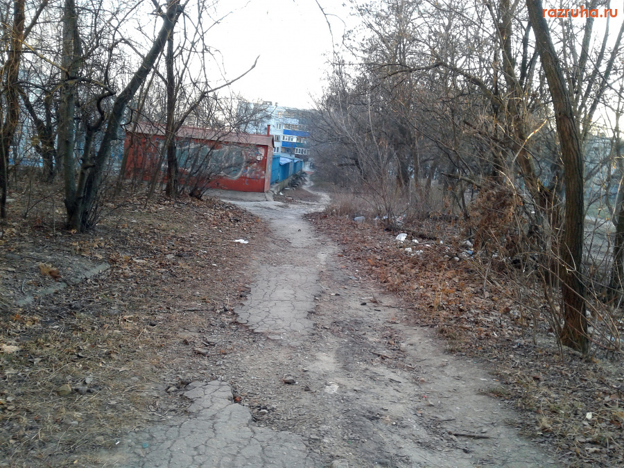 Курск - У тропинки