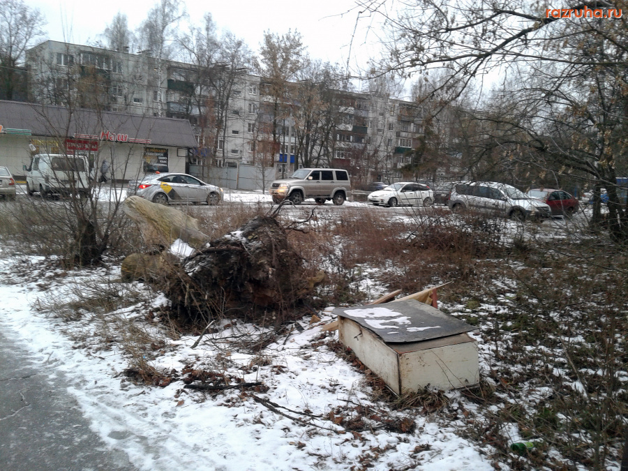 Курск - Пень