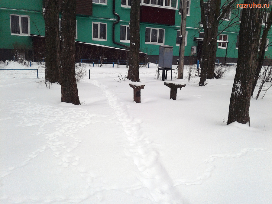 Курск - Лавка