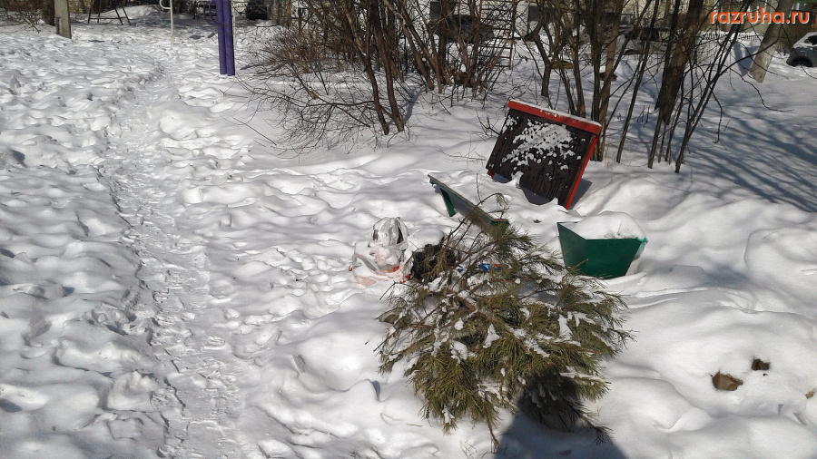 Курск - Ёлка у лавки