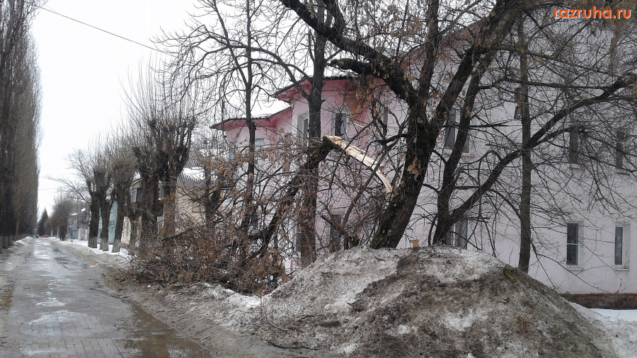 Курск - Сломанная ветка