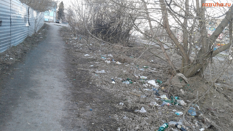 Курск - Вечное свинство