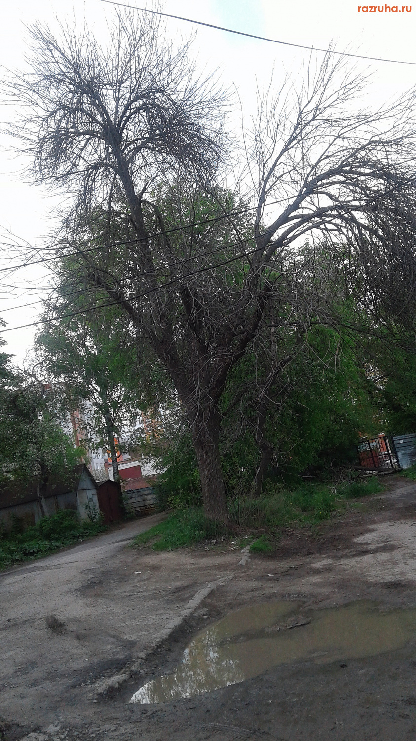 Курск - Дорога к дому