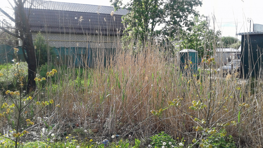 Курск - Камыши