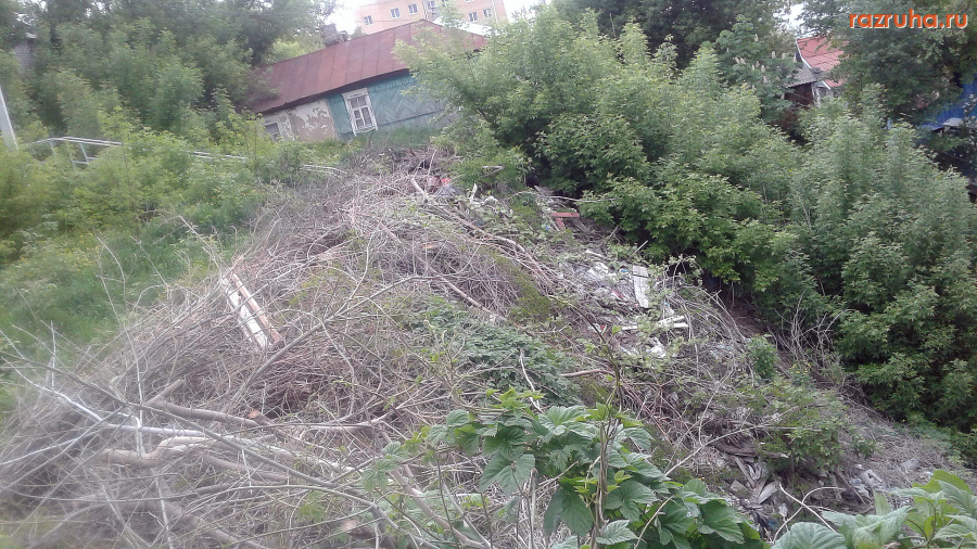 Курск - Куча веток