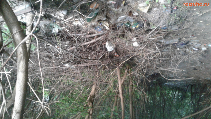 Курск - Мусор в лесу