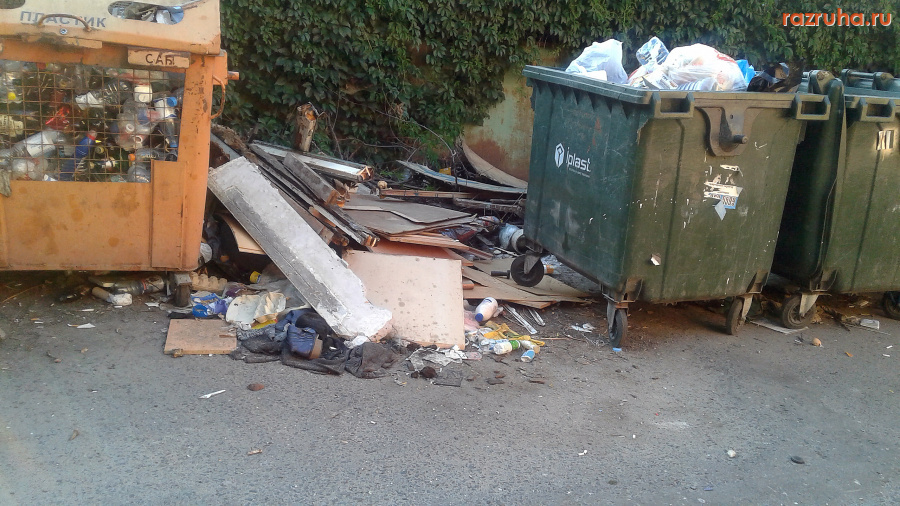 Курск - Кучка на мусорке