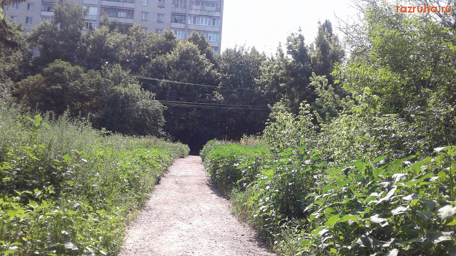 Курск - Пустырь