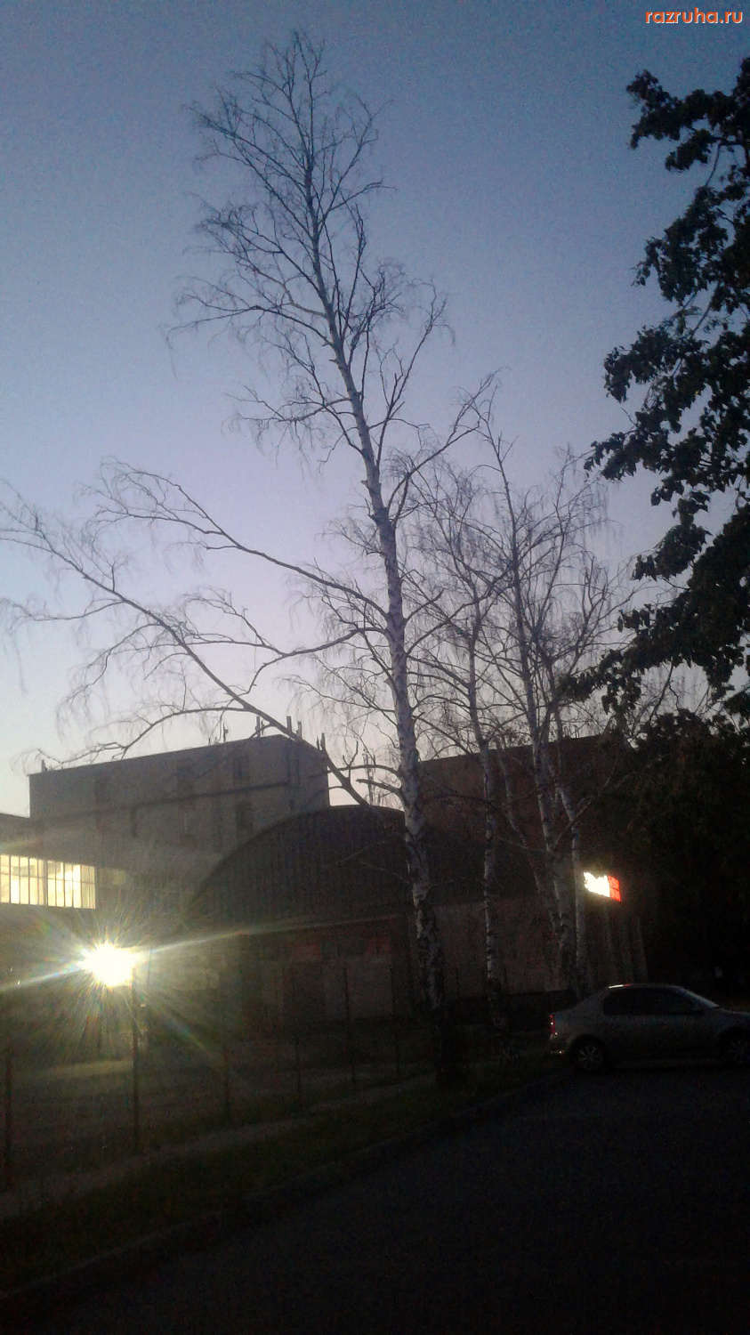 Курск - Берёзы