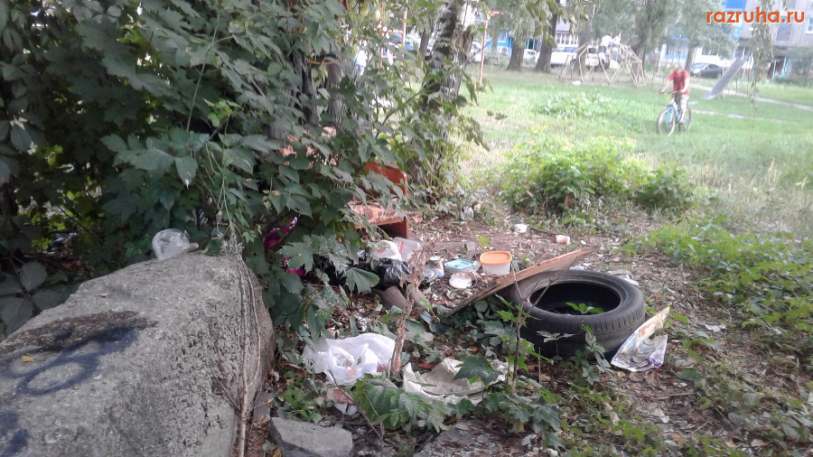 Курск - Чистота