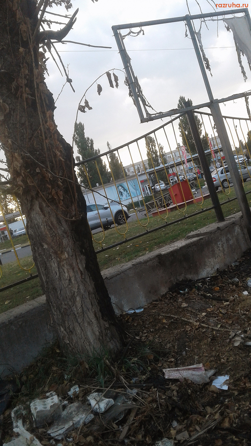 Курск - Мусора стало больше