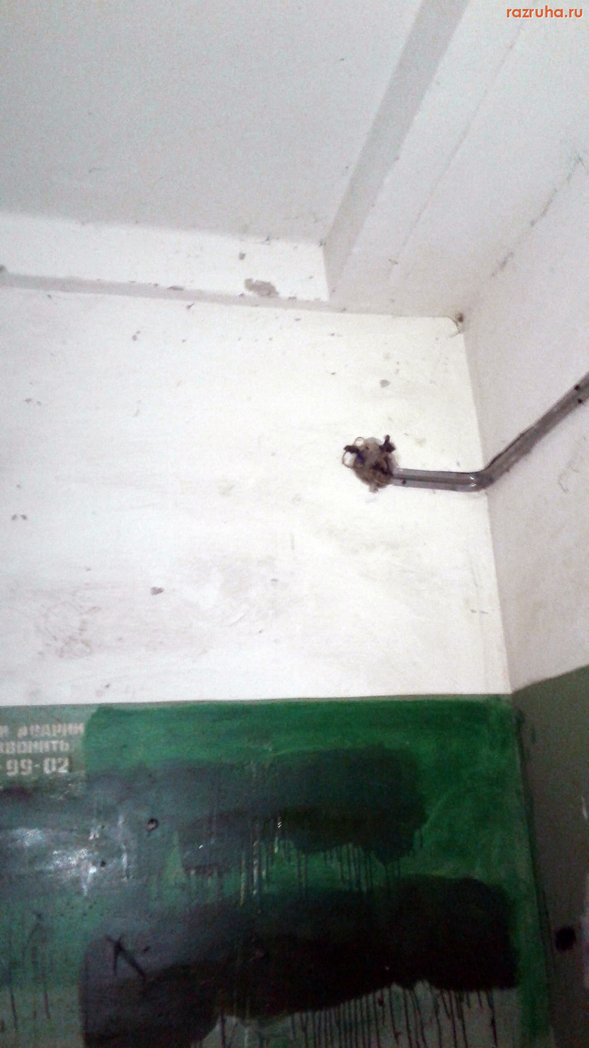 Курск - Обзор подъезда